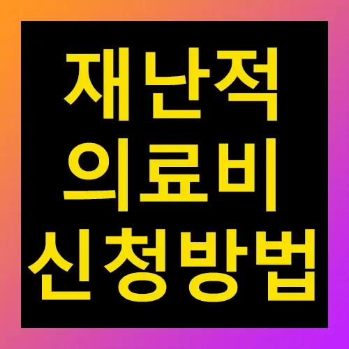 재난적 의료비 신청방법