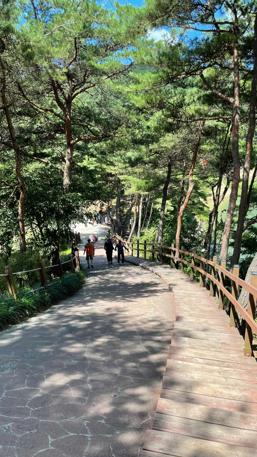 청양 천장호 출렁다리