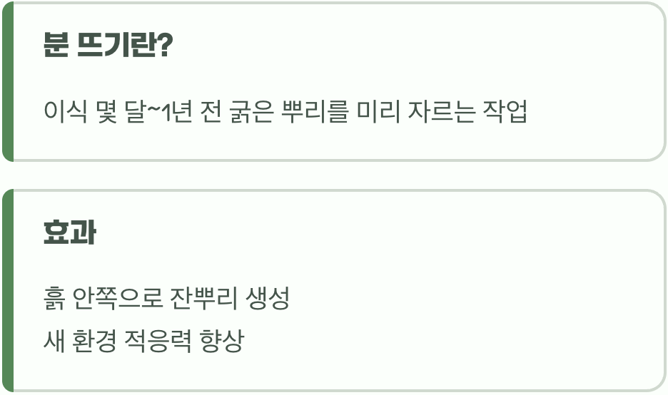 뿌리를 위한 사전 준비, 분 뜨기