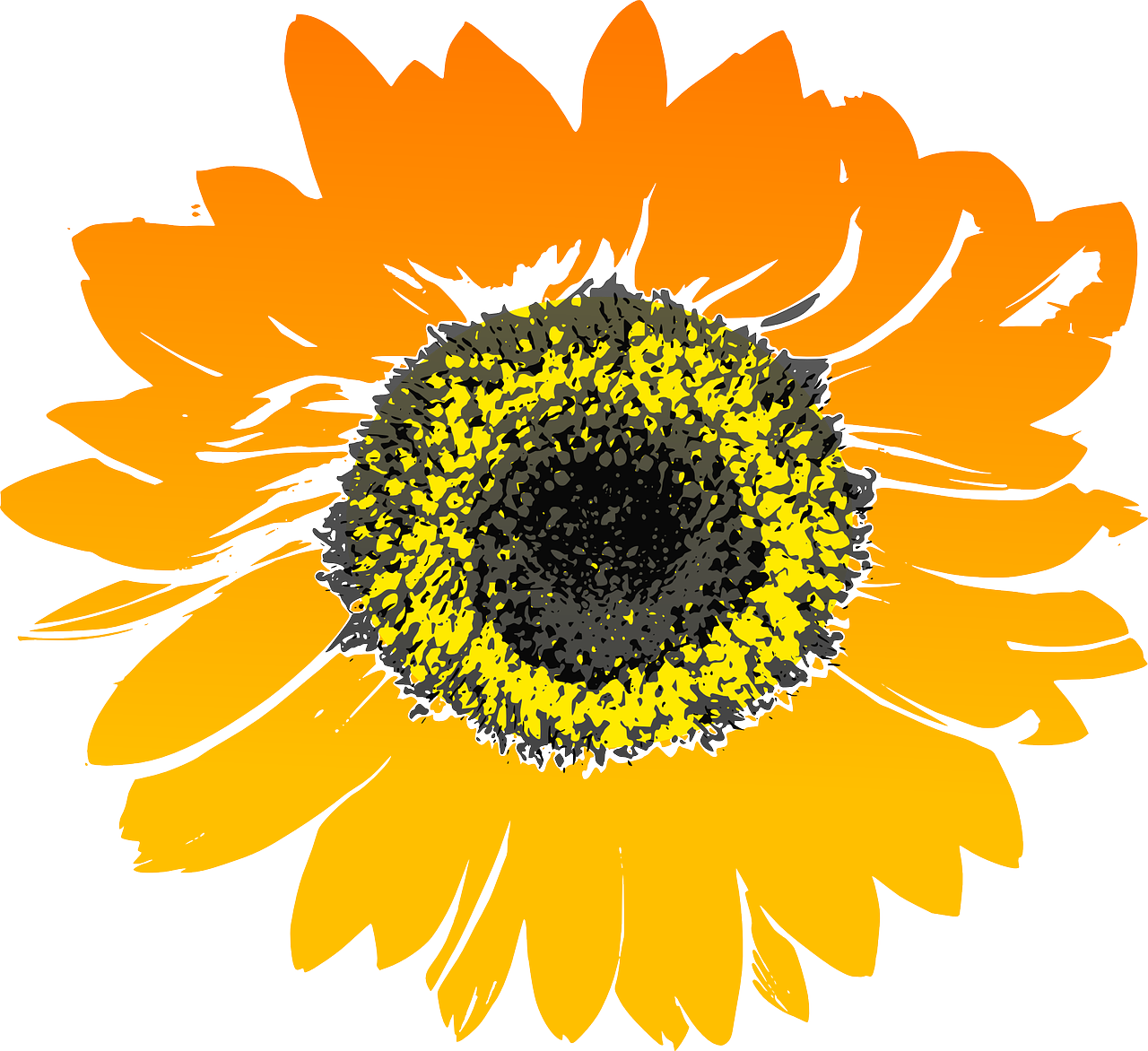 서울런 4050 평생학습포털