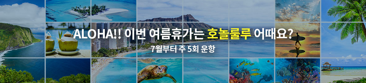 이번 여름휴가는 호놀룰루 어때요 ? ( 7월부터 주 5회 운항 )