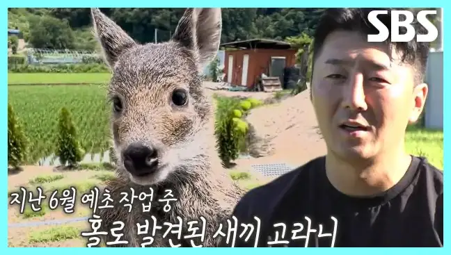 동물농장 재방송 시간 다시보기