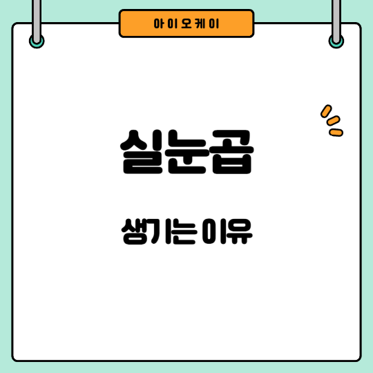 실눈곱원인