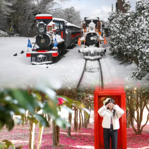 제주 에코랜드 테마파크 겨울 기차 여행 (눈 내린 풍경과 6살 아이랑 가볼만한곳)