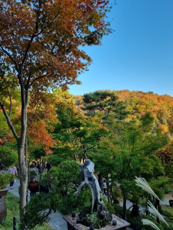 화담숲예약하기