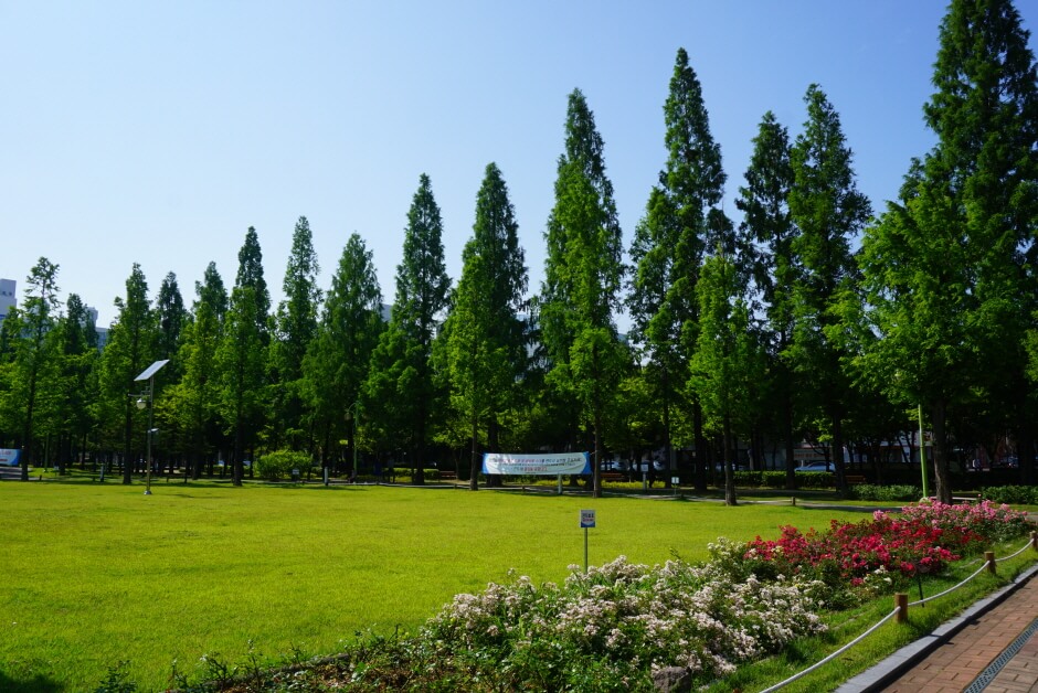 대구 가볼만한 단풍 여행은 어디일까? 대구 단풍 여행 총정리!