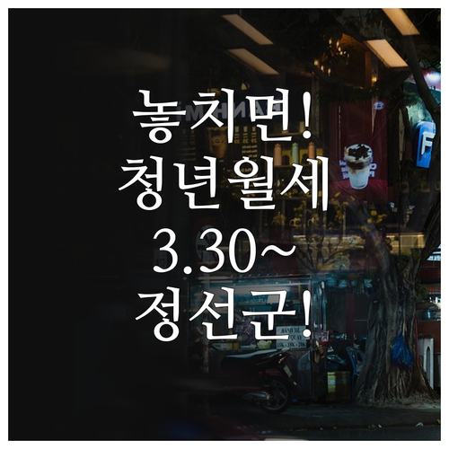 정선군 청년월세 지원 신청 기간 3월..