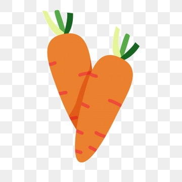 당근의 효능을 알아보자