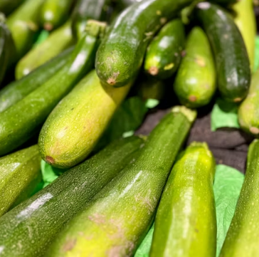 애호박 효능과 부작용 영양성분 고르는법 칼로리