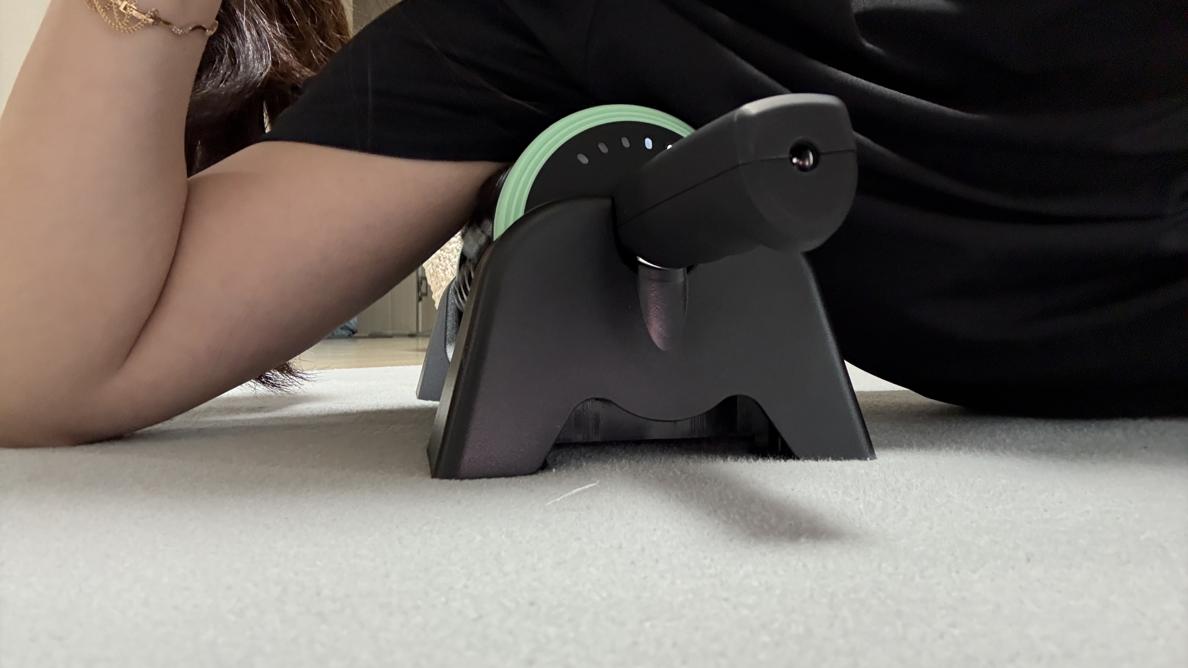 메디니스 셀룰라 자동룰러