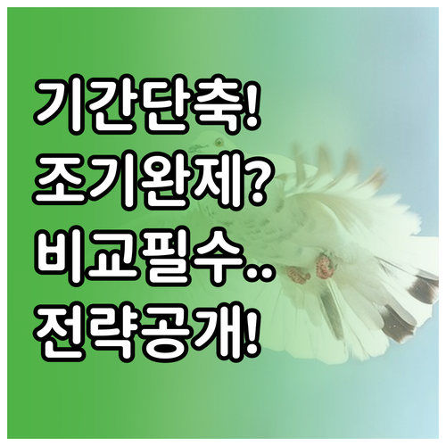 개인회생 기간단축과 조기완제 비교 및..