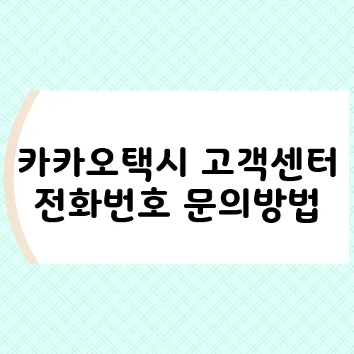 카카오택시 고객센터 전화번호 문의방법