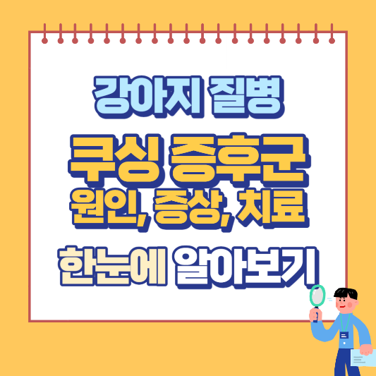 쿠싱 증후군 부신피질기능항진증