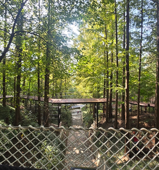  &lsquo;남산 하늘숲길&rsquo;&amp;#44; 전망대&middot;정원까지 산책명소