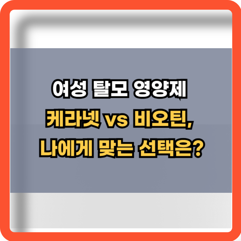 여성탈모영양제-정보