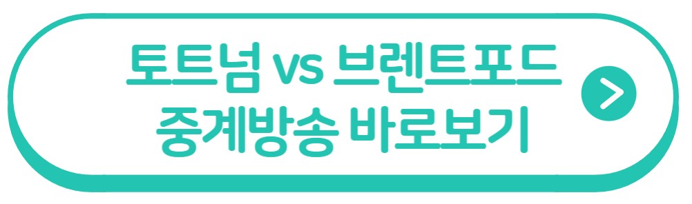 토트넘 브렌트포드