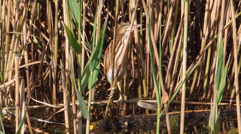 공기업의 종류와 특징