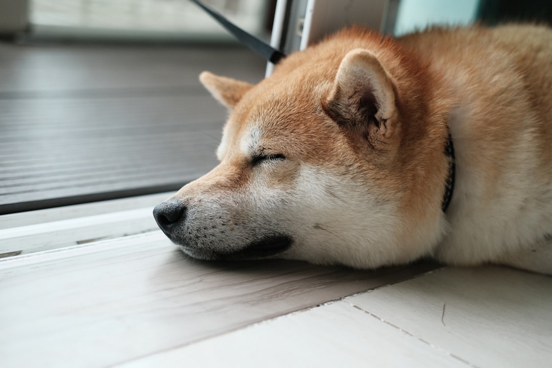 Snoring