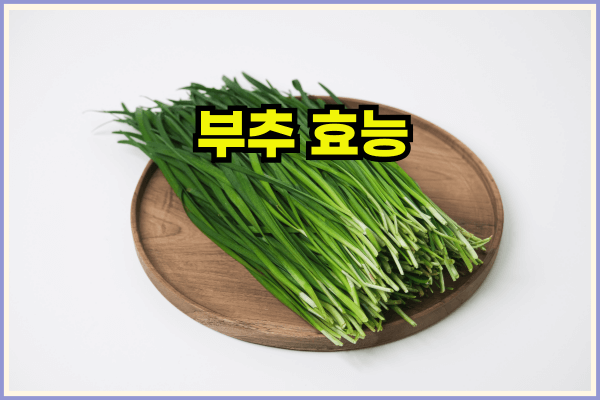 부추효능 부추즙효능 부작용