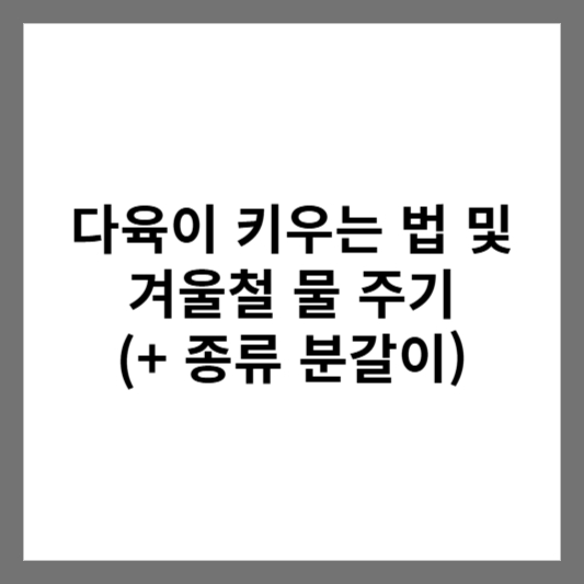 다육이 키우는 법 및 겨울철 물 주기 (+ 종류 분갈이)