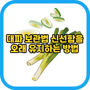 대파 보관법 신선함을 오래 유지하는 방법