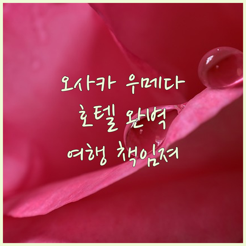 오사카 우메다 호텔 완벽 분석! 당신
