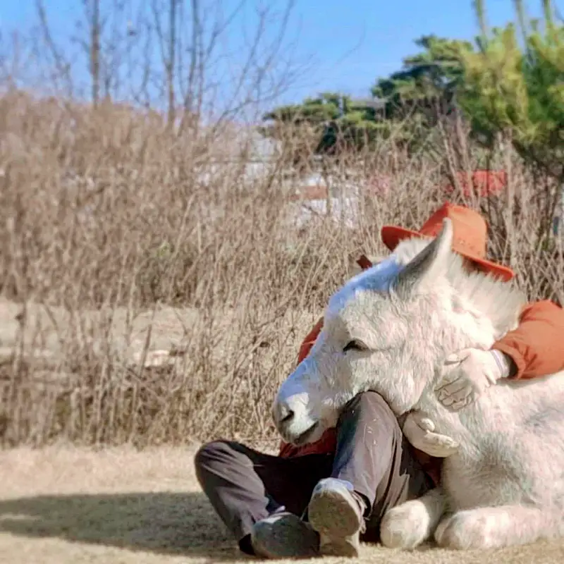 내가 사는 세상 궁금해터 느티나무 그물 놀이터와 귀여운 당나귀 농장 창의 교감 놀이터 여행 코스 가볼만한 곳 추천