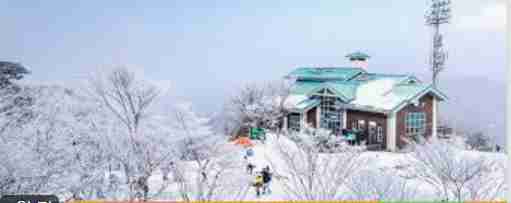 화담숲 모노레일 예약 3분 완벽 가이드