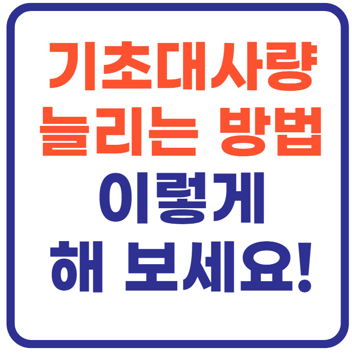 기초대사량 늘리는 방법 10가지