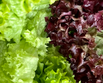 지방간에 좋은 음식 10 영양제 식단