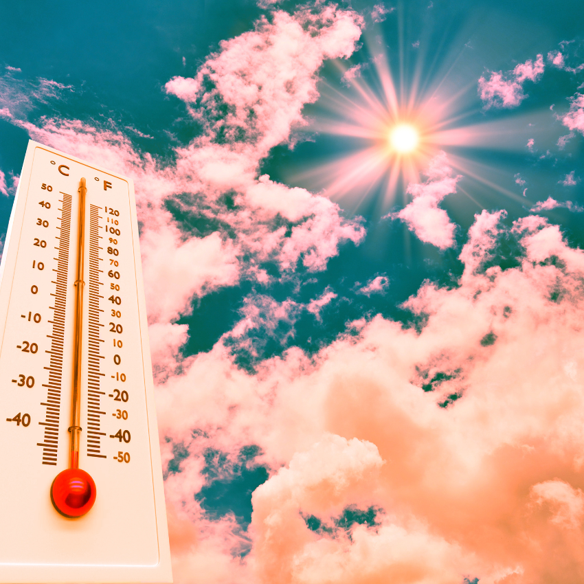 폭염주의보 발령_5