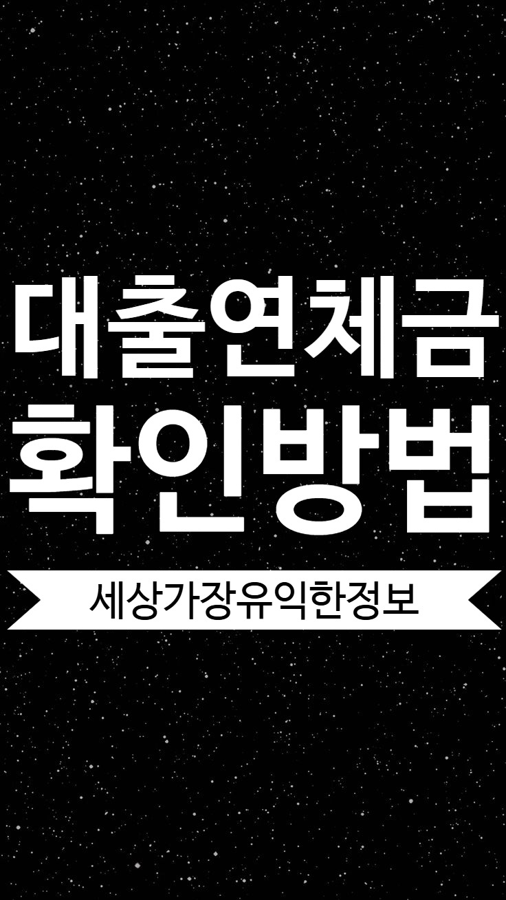 대출 연체금 총액 확인 방법