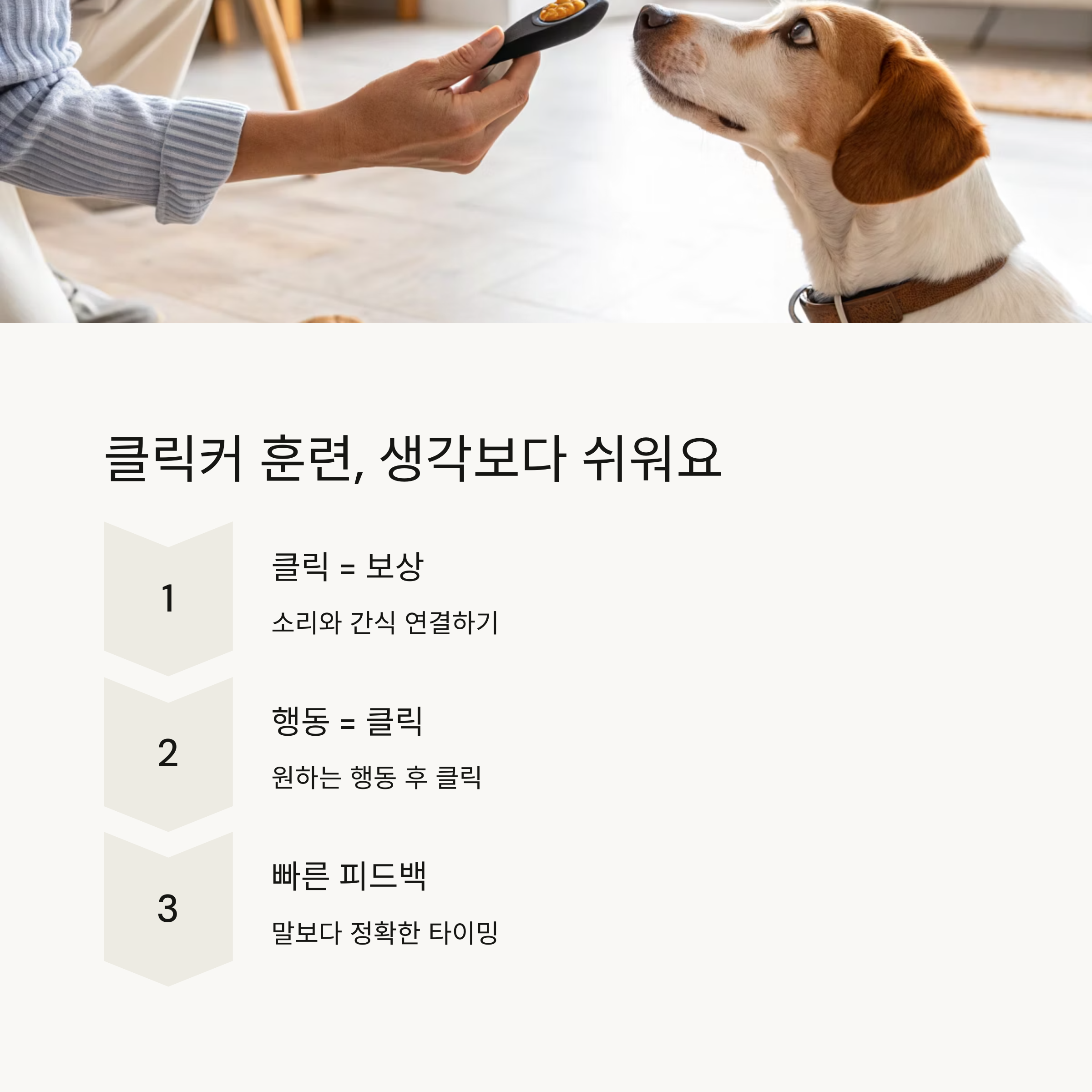 클릭커 훈련