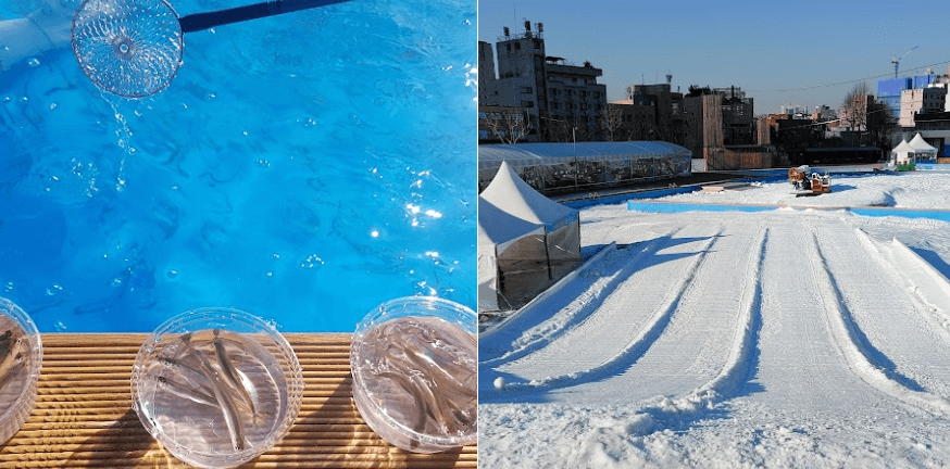 어린이회관 눈썰매장 사진2