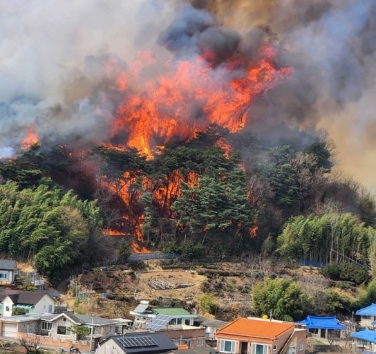 코 앞까지 다가온 화마, 주택 및 문화재 소실