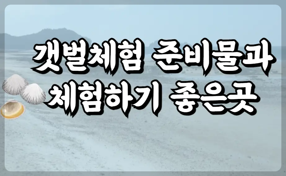갯벌체험 준비물과 체험하기 좋은곳