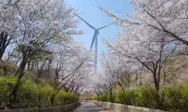 나만알고싶은여행지