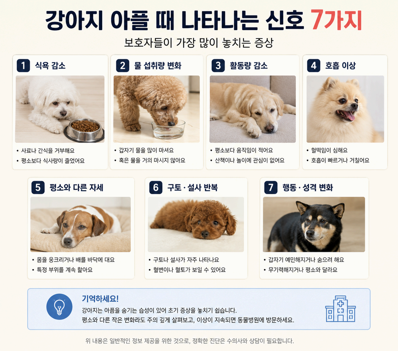 강아지 아플 때 나타나는 신호 7가지, 보호자들이 가장 많이 놓치는 증상
