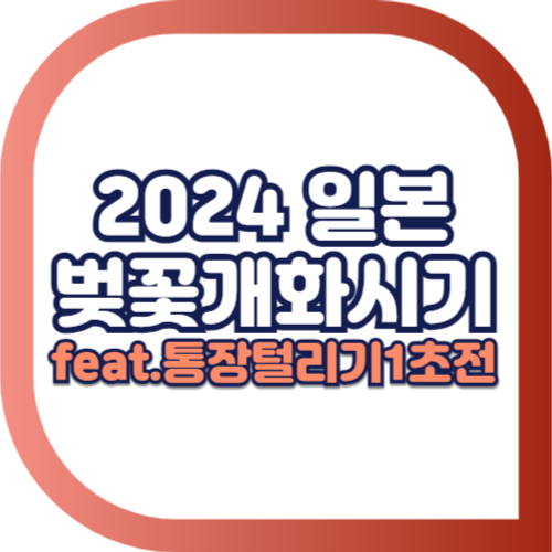 2024-일본-벚꽃-개화시기