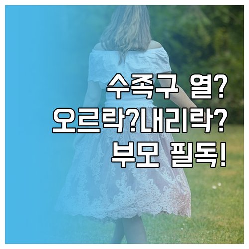 수족구 열 며칠 동안 오르락내리락 할..