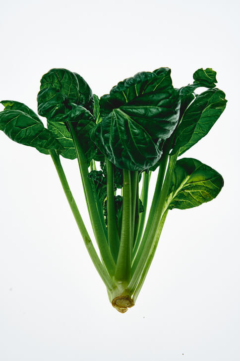 성장기 키 크는 음식