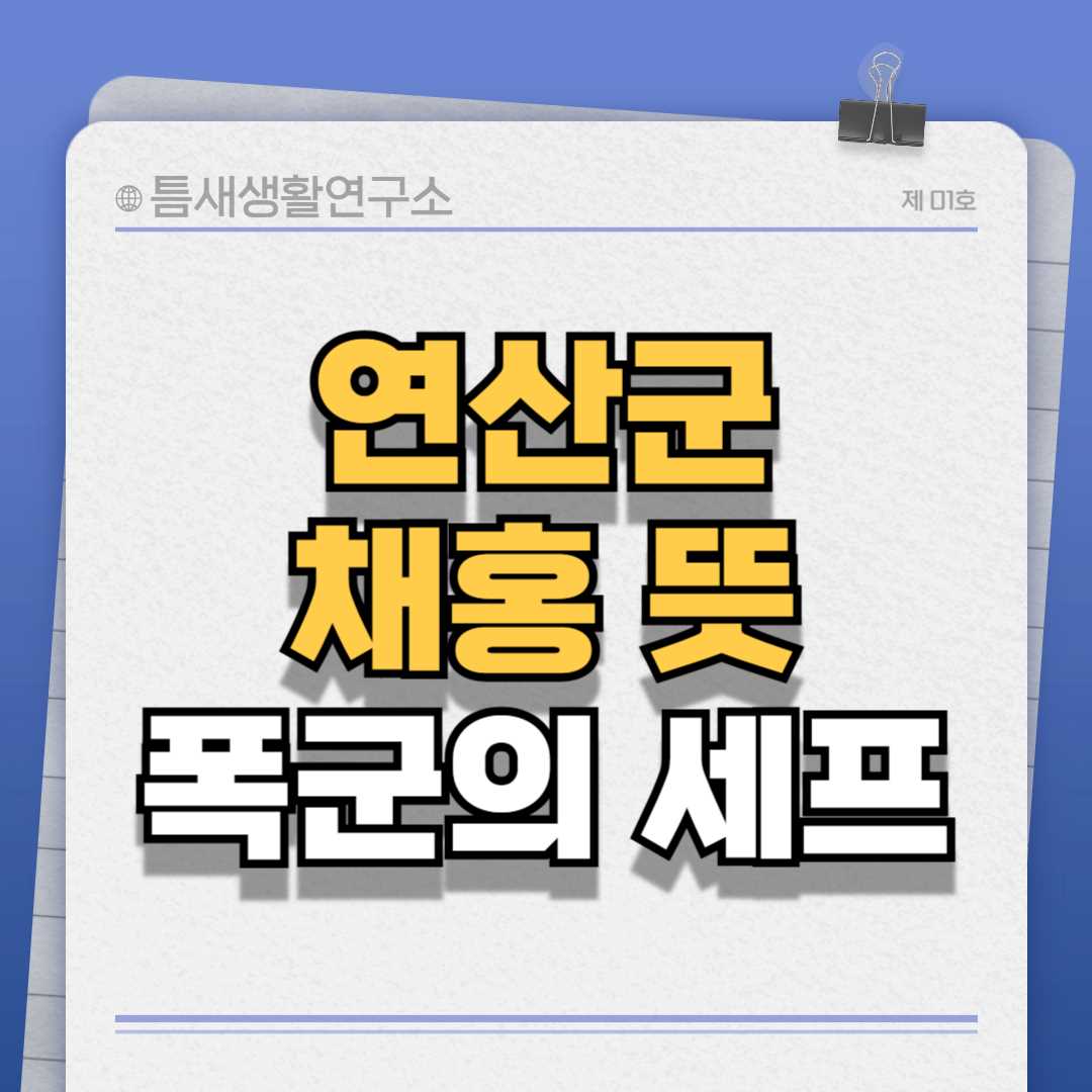 연산군채홍-썸네일