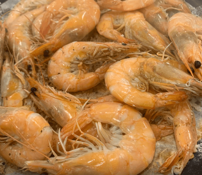 생방송투데이 동대문 모둠회 맛집 정보