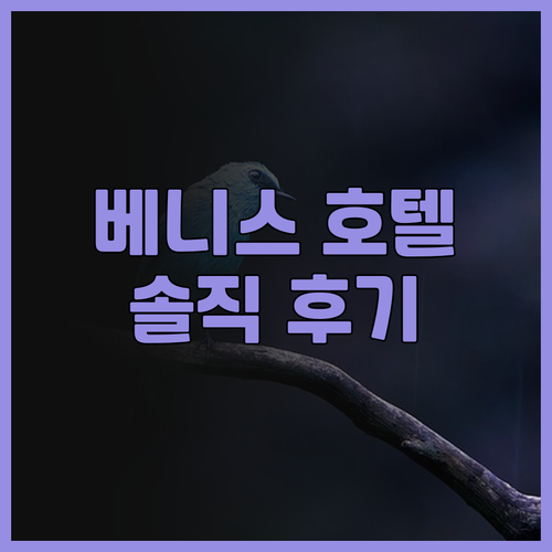 베니스 여행객 필독 호텔 플라자 베니..