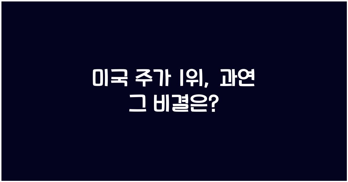 미국 주가 1위
