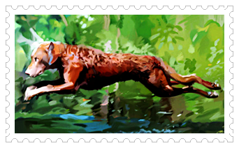 난파선의 생존자