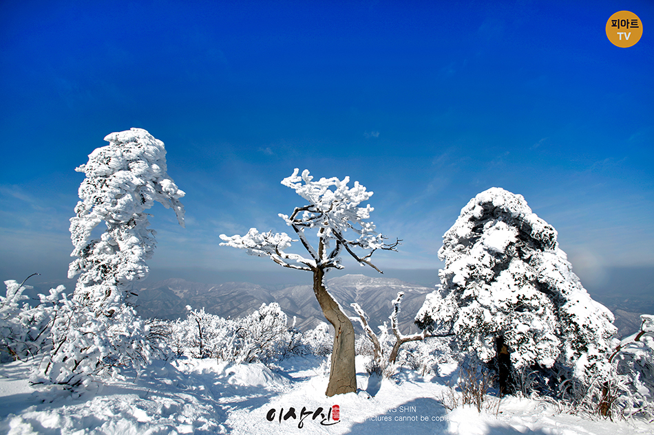 태백산 등산 3 코스