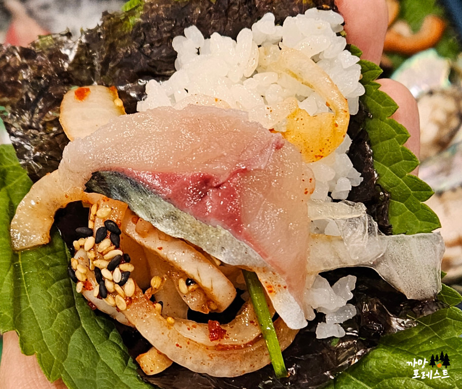 회가 서쪽에서 뜨겠네 고등어회