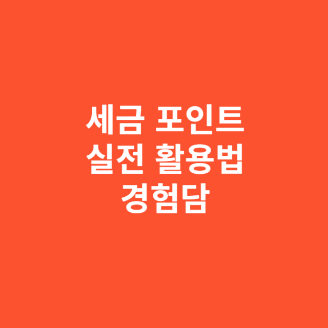세금 포인트 쌓이기만 해서 답답하다면 실전 활용법, 실제 경험담