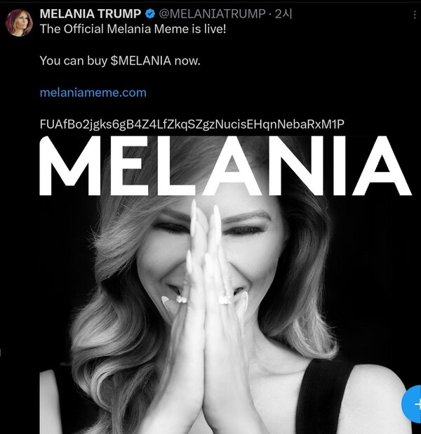 솔라나 코인 전망 시세 폭락